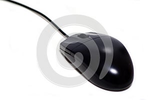 Black Mouse