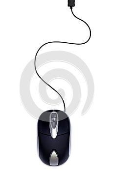 Black mouse