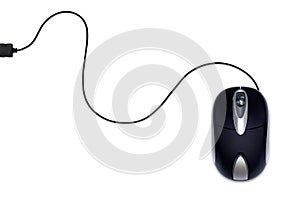 Black mouse
