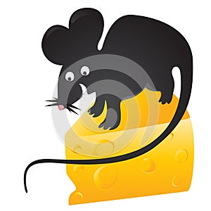 Black mouse found cheese