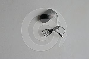 Black mouse on white wall