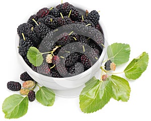 Black mulberries with leaves in white bowl