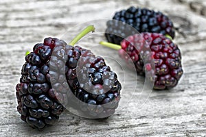 Black mulberry Morus nigra, pile of berries