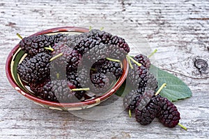 Black mulberry Morus nigra, pile of berries in the bowl