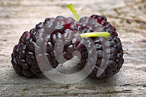 Black mulberry Morus nigra, two berries on the wood table