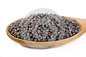 Black mustard seeds on white