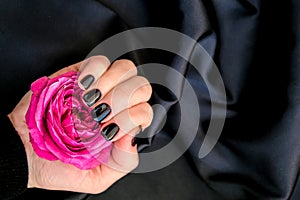 Black nails manicure hold Pink rose flower on black silk fabric. Minimal flat lay nature. Female hand