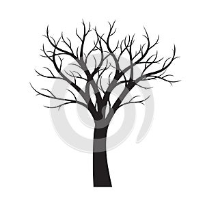 Black naked Tree white background. Vector Illustration