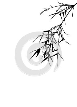 Black natural leaf bamboo shadows element for decoration. On isolate white background