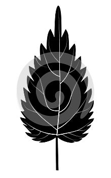 Black nettle leaf silhouette