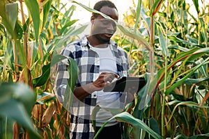 Black notepad is in hands. Young African American man is standing in the cornfield at daytime