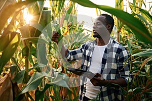 Black notepad is in hands. Young African American man is standing in the cornfield at daytime