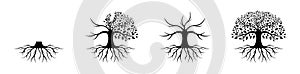 ,black oak tree logo and roots design vector illustration
