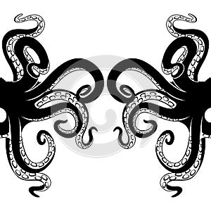 Black octopus tentacles.