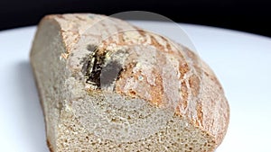 Black old bread with mold close-up. Turntable.