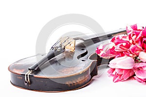 Black old violin