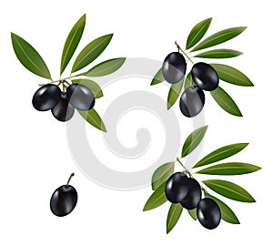 Black olive