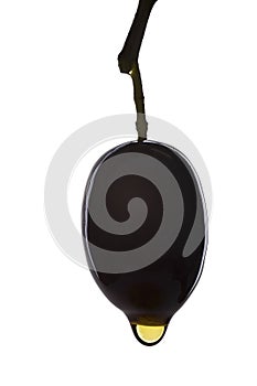 Black olive with oil drop