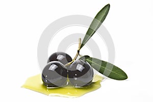 Black olives covered in oil