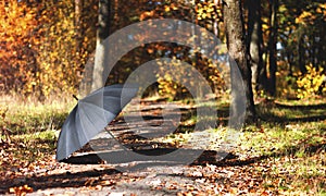 Black open umbrella in an autumn park