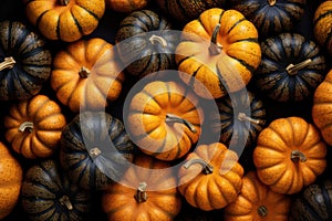 Black and Orange Pumpkins