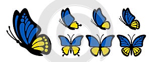 Black outline butterfly with blue yellow wings