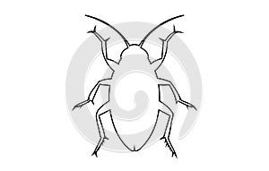 Black outline of cockroach isolated on white backdrop Illustration. Icon, sign, pictogram, print. Design element. Pest