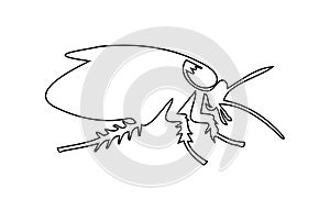 Black outline of cockroach on white background Illustration. Icon, sign, pictogram, print. Design element. Pest control