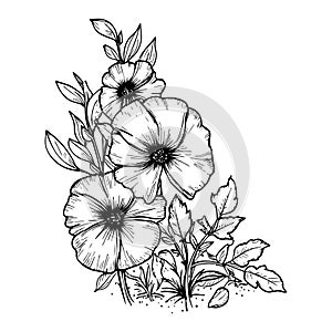 Black outline flowers bush botanical vector illustration. Floral line art drawing.