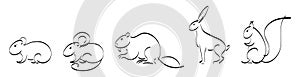 Black outline set of squirrel, mouse, hamster, hare, rabbit, guinea pig, beaver