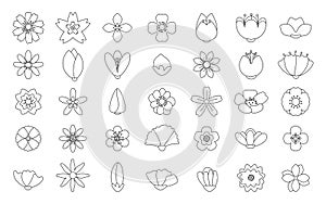 Black outline summer spring flower icon vector set
