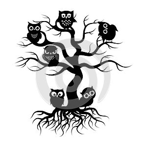 Black owls on old tree. Tree silhouette with roots