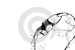 Black paint splash isolated on white background.