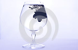 Black paint in water in a crystal glass on a white background
