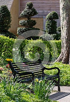 Black painted garden bench photographed in springtime at Eastcote House historic walled garden, Hillingdon UK