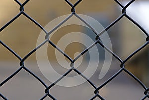 Black painted wire mesh fence