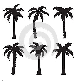 Black palm icon on white background