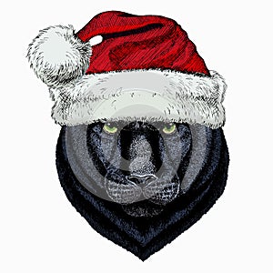 Black panther. Christmas red Santa Claus hat. Wild cat portrait.