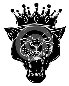 Black panther with crown on his head and open mouth, on white background