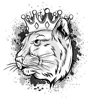 Black panther with crown on his head and open mouth, on white background