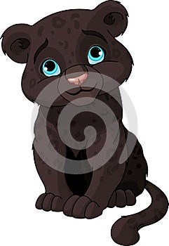 Black panther cub