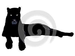 Black panther isolated on white