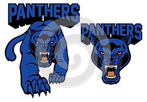 Black panther mascot photo