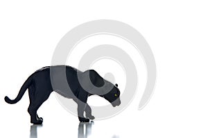 Black panther portrait white background