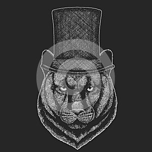 Black panther, puma. Top hat, cylinder. Head of animal. Wild cat portrait.