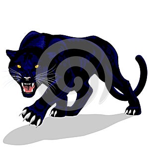 Black Panther Spirit Roaring Vector illustration isolated on white.
