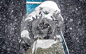 Black panther statue seen through falling snow flakes