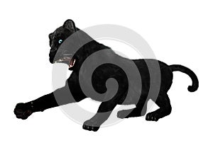 Black Panther on White