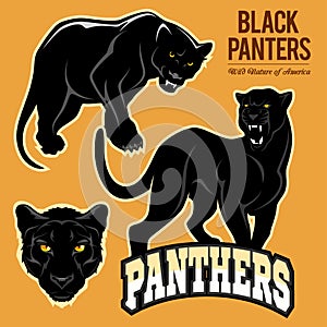Black Panthers - vector set isoled