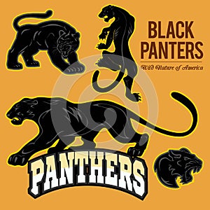Black Panthers - vector set isoled